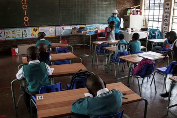 SA Youth Teacher Assistant Application Process And Forms 2024 - CityMedia