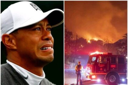 Tiger Woods has counted the first damages when a nearly $10 million mansion in Los Angeles burned down. Among them, many memorabilia were burned down, he shared IMG 3068